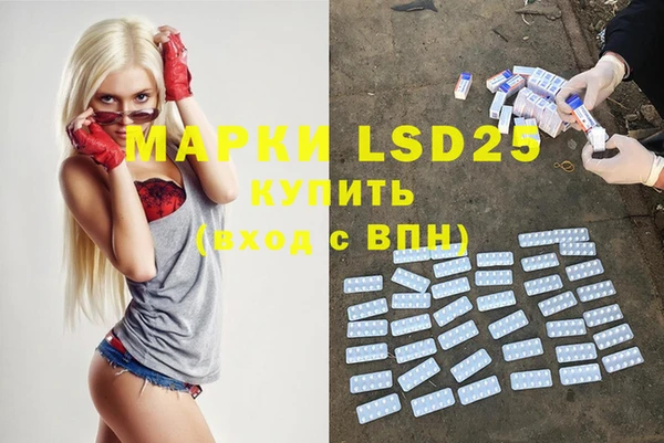 прущие грибы Волосово