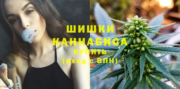 ешки Богданович