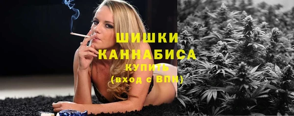 spice Снежногорск